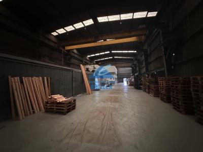 Nave industrial en alquiler con grúas para 20 Tm